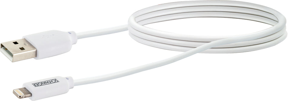 APPLE LIGHTNING KABEL C48B WEIß 2M