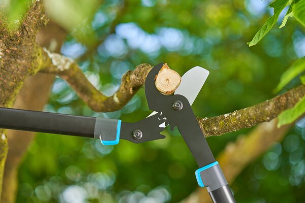 ASTSCHERE ENERGYCUT PRO L
