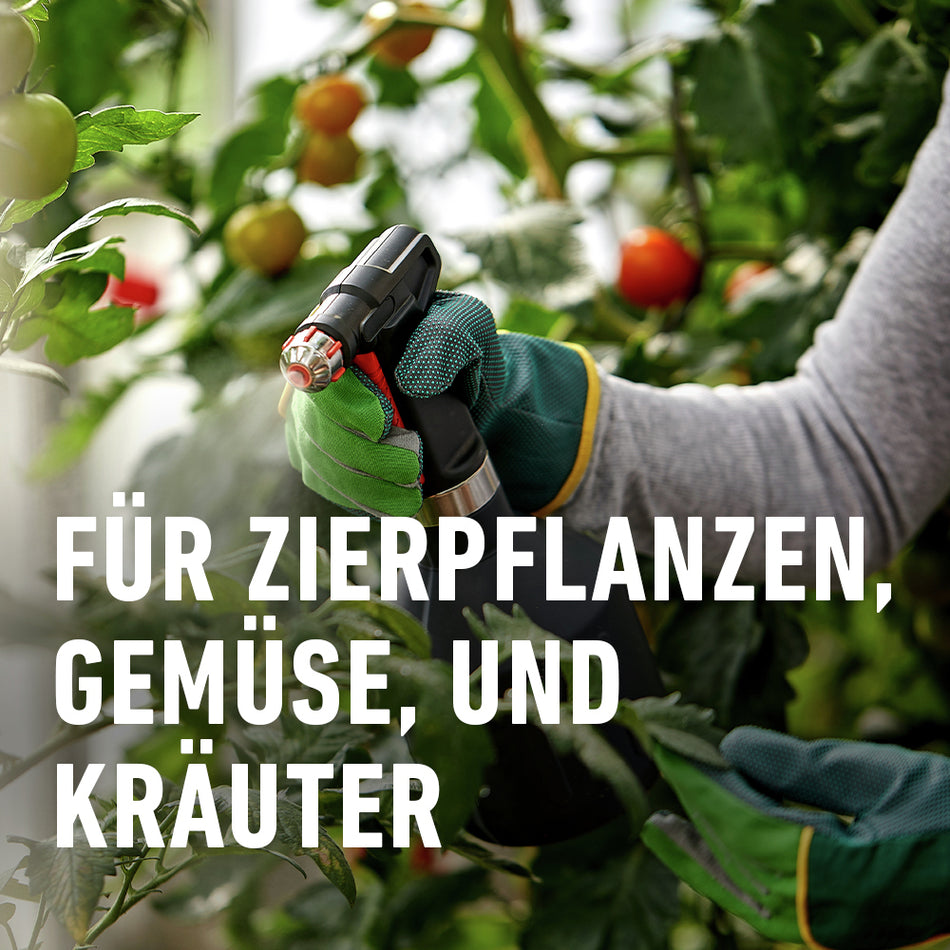 COMPO BIO INSEKTEN-FREI NEEM 75ML