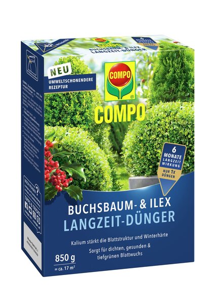 COMPO BUCHSBAUM- UND ILEX LZD 850G