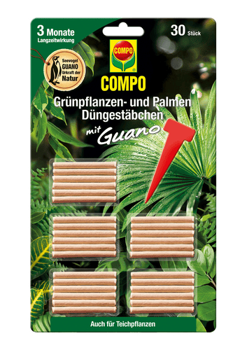 COMPO DÜNGESTÄB. GRÜNPFLANZEN U.PALMEN