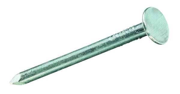 DACHPAPPSTIFTE VERZ. 2,5X25 MM 50 G