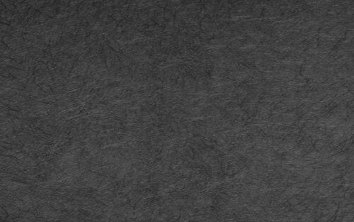 DELTA-GEOTEXX FS 100 50X2 M