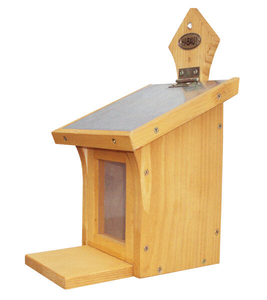 EICHHÖRNCHEN FUTTERSTATION