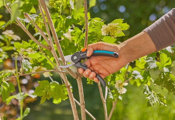 GARTENSCHERE PREMIUMCUT FRISCHES HOLZ