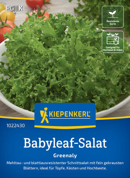KK BABYLEAF-SALAT GREENALY