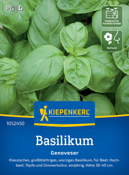 KK BASILIKUM GENOVESER
