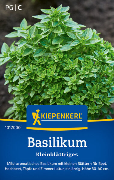 KK BASILIKUM KLEINBLÄTTRIGES