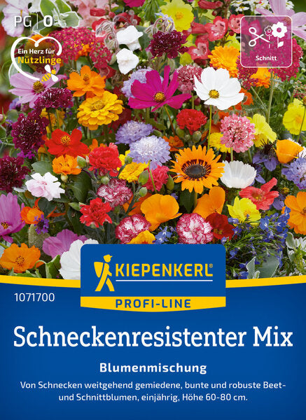 KK BLUMENMISCHUNG BLÜTENSYMPHONIE