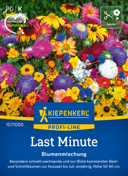 KK BLUMENMISCHUNG LAST MINUTE
