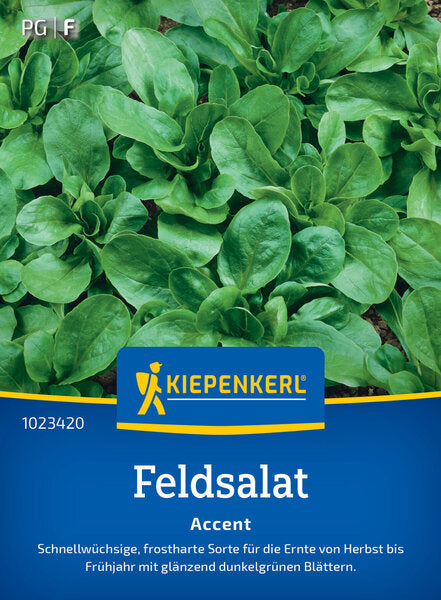 KK FELDSALAT ACCENT