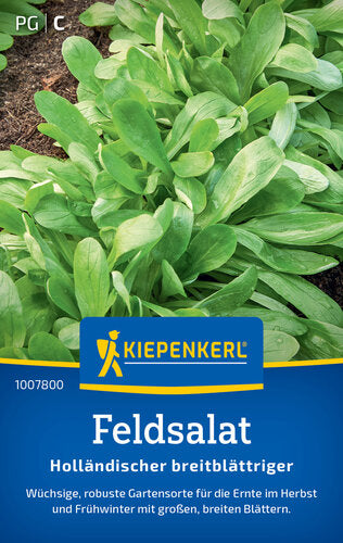 KK FELDSALAT HOLLÄND. BREITBLÄTTRIGER