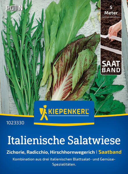 KK ITALIENISCHE SALATWIESE SAATB.