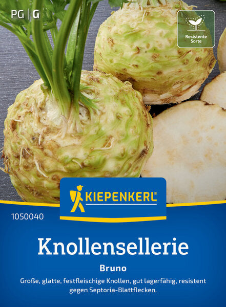 KK KNOLLENSELLERIE BRUNO