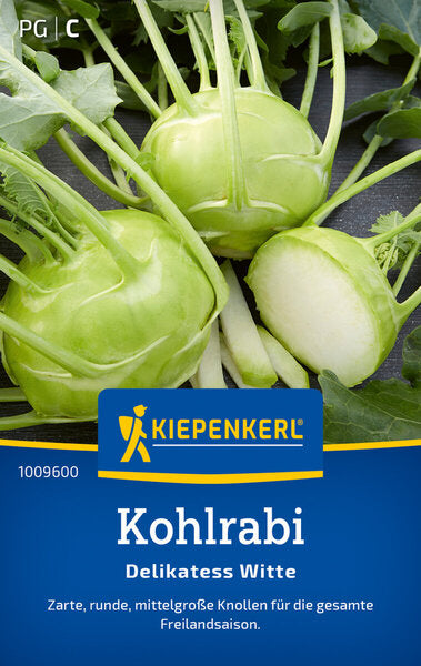 KK KOHLRABI DELIKATESS WITTE