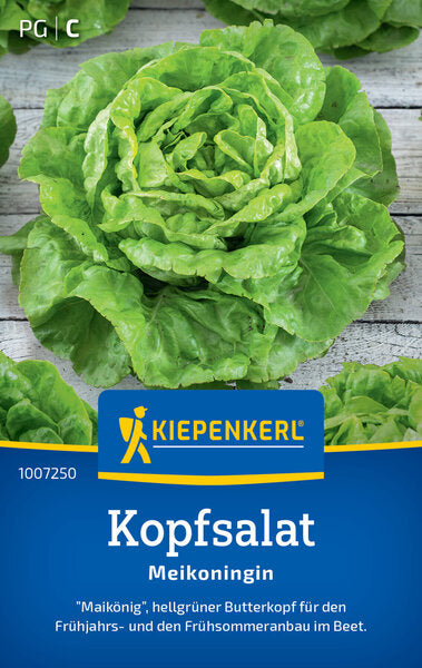 KK KOPFSALAT MEIKONINGIN