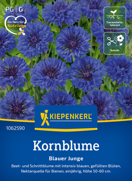 KK KORNBLUME BLAUER JUNGE