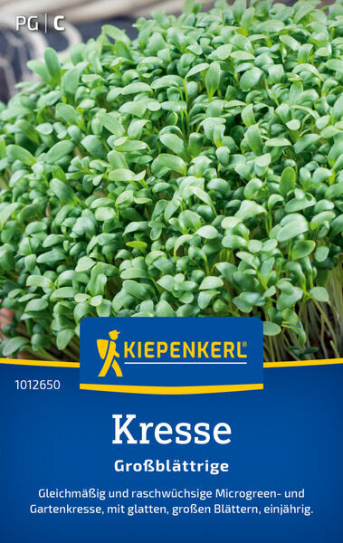KK KRESSE GROßBLÄTTRIGE