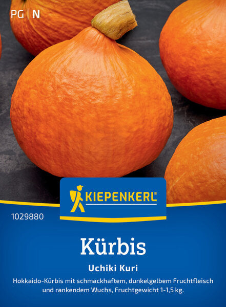 KK KÜRBIS UCHIKI KURI