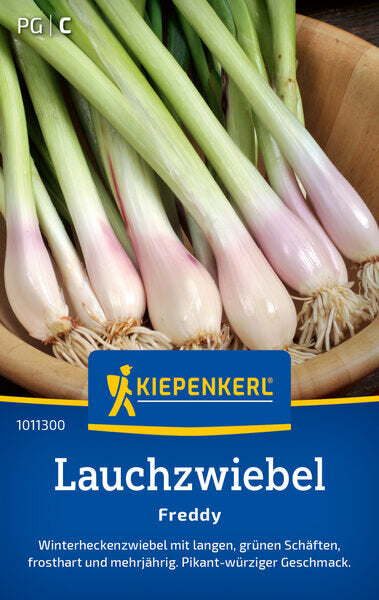 KK LAUCHZWIEBEL FREDDY