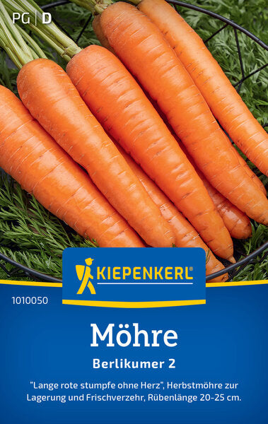 KK MÖHRE BERLIKUMER 2