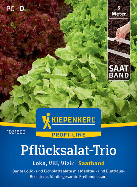 KK PFLÜCKS.TRIO LOKA, VILI, KYRIO SAATB.