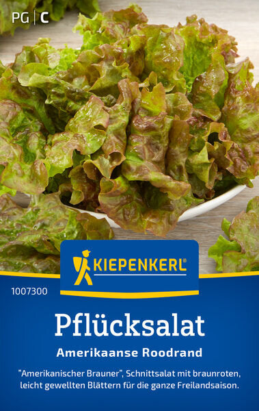 KK PFLÜCKSALAT AMERIKAANSE ROODRAND