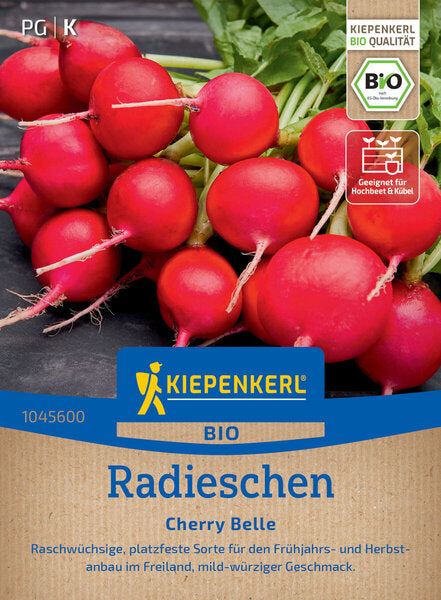 KK RADIESCHEN CHERRY BELLE