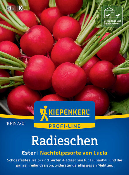 KK RADIESCHEN ESTER