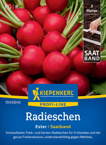 KK RADIESCHEN ESTER SAATB.