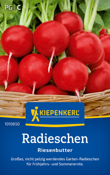 KK RADIESCHEN RIESENBUTTER