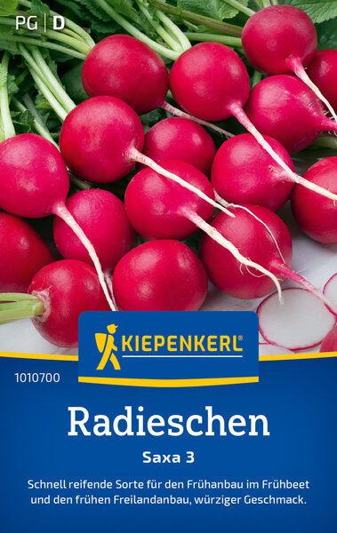 KK RADIESCHEN SAXA 3