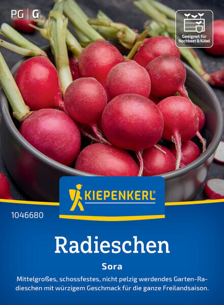 KK RADIESCHEN SORA