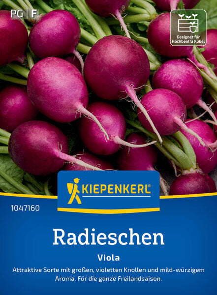 KK RADIESCHEN VIOLA