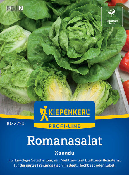KK ROMANASALAT XANADU