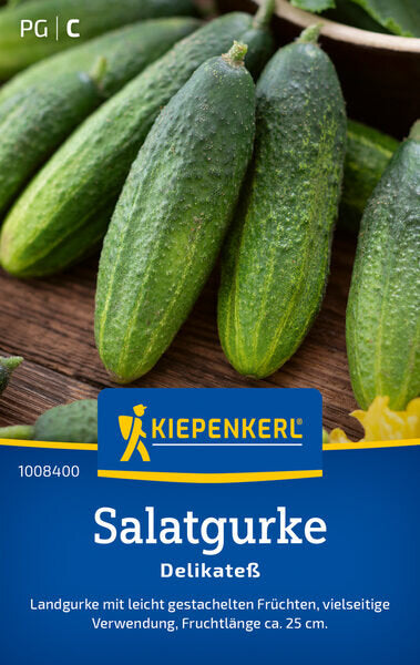 KK SALATGURKE DELIKATEß