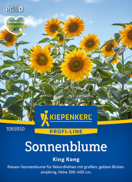 KK SONNENBLUME KING KONG