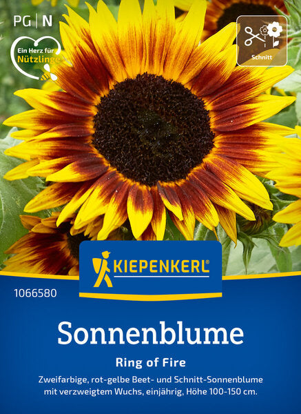 KK SONNENBLUME RING OF FIRE