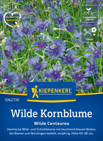 KK WILDE KORNBLUME BLAUE ZYANE