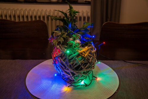 MICRO LED LICHTERKETTE 20BUNTE DIOD.