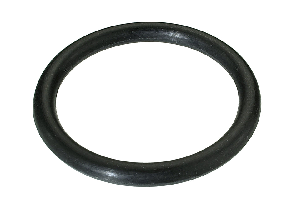 O-RINGE F. KU-WASSERSTECKSYST. (10)