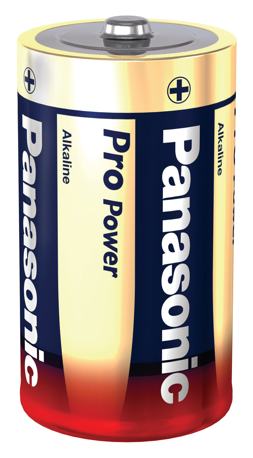 PANASONIC PRO POWER MONO D LR20