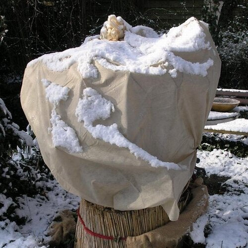 WINTERVLIES, BEIGE 1,5 X 5 M